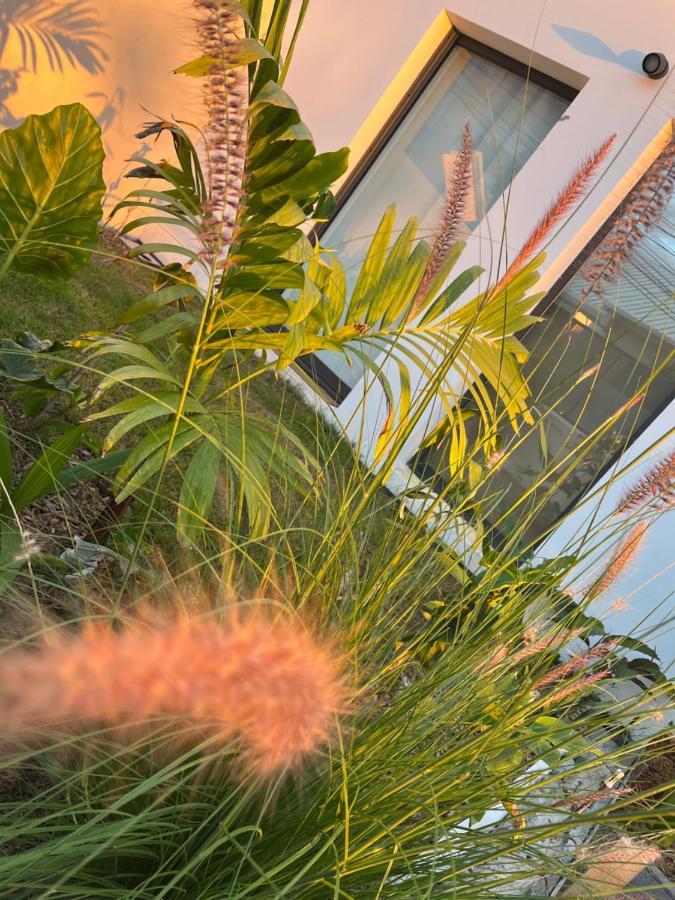 לה טאמפון L'Empreinte-Oasis De Serenite Au Coeur D'Un Jardin Tropical מראה חיצוני תמונה